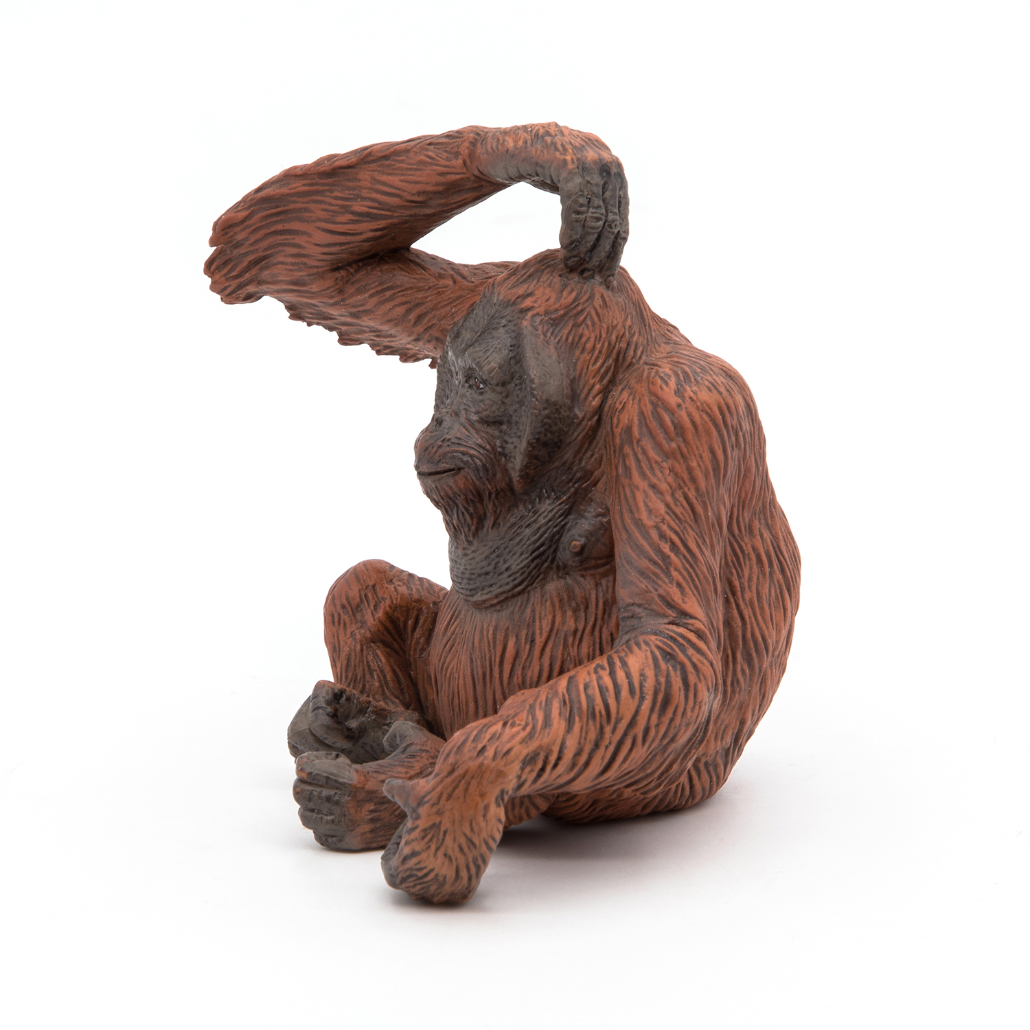 ORANGUTANG