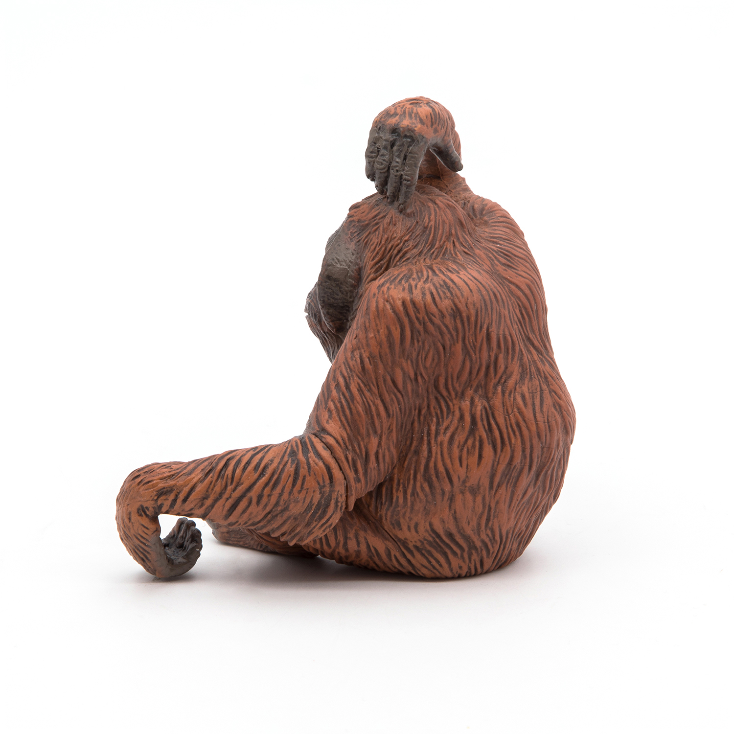 ORANGUTANG
