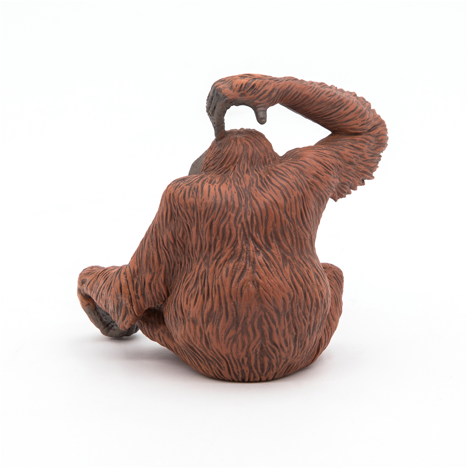 ORANGUTANG