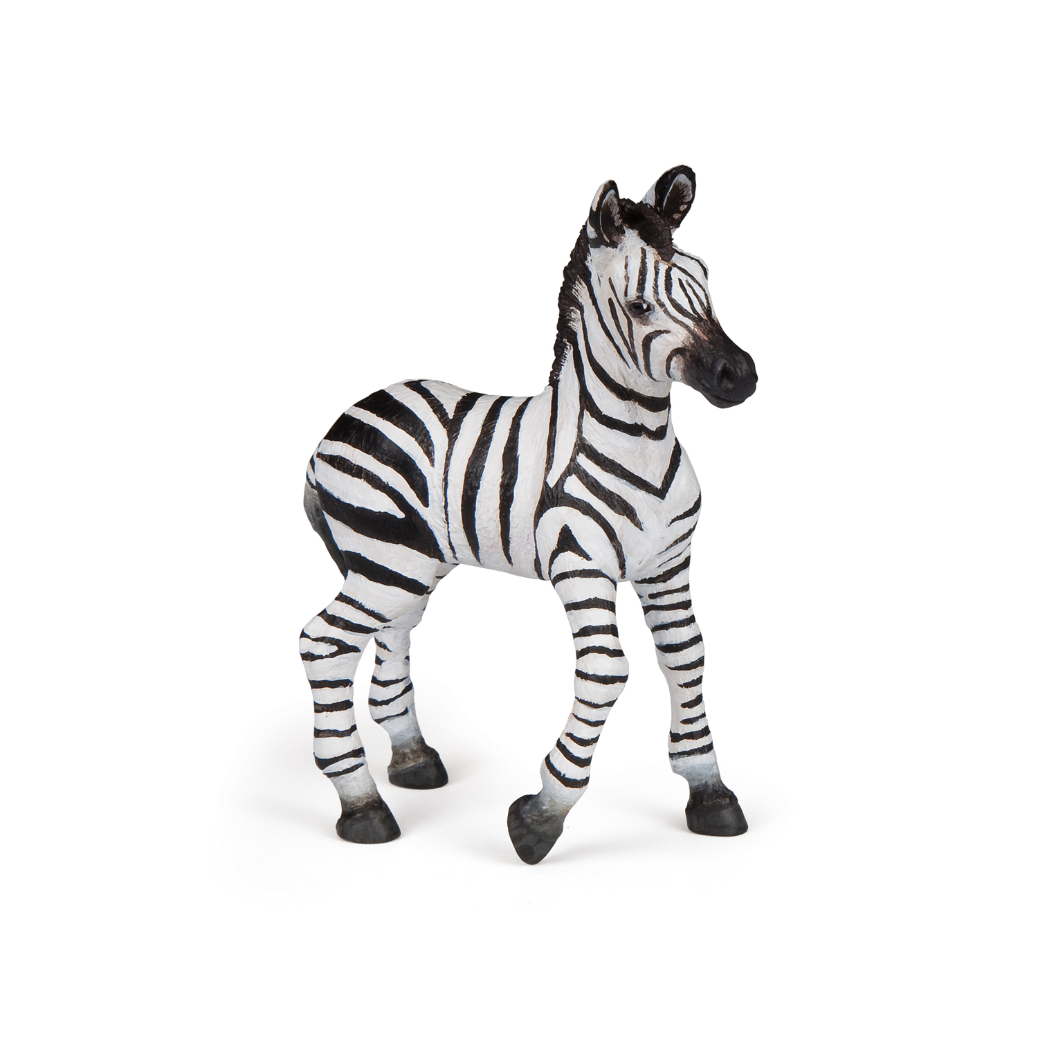 ZEBRA MLÁDĚ