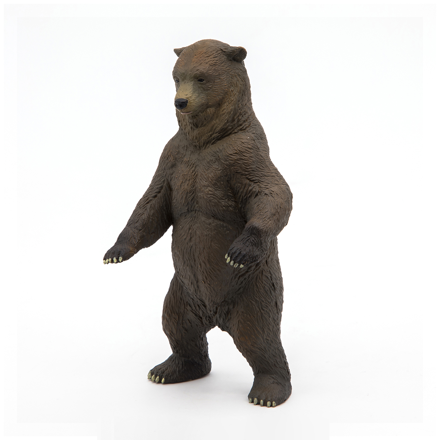 MEDVĚD GRIZZLY