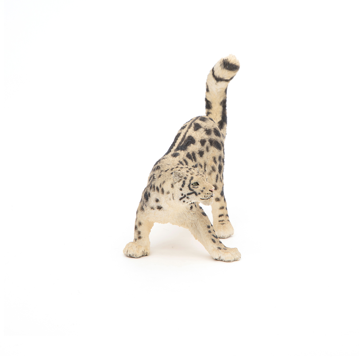 SNĚŽNÝ LEOPARD