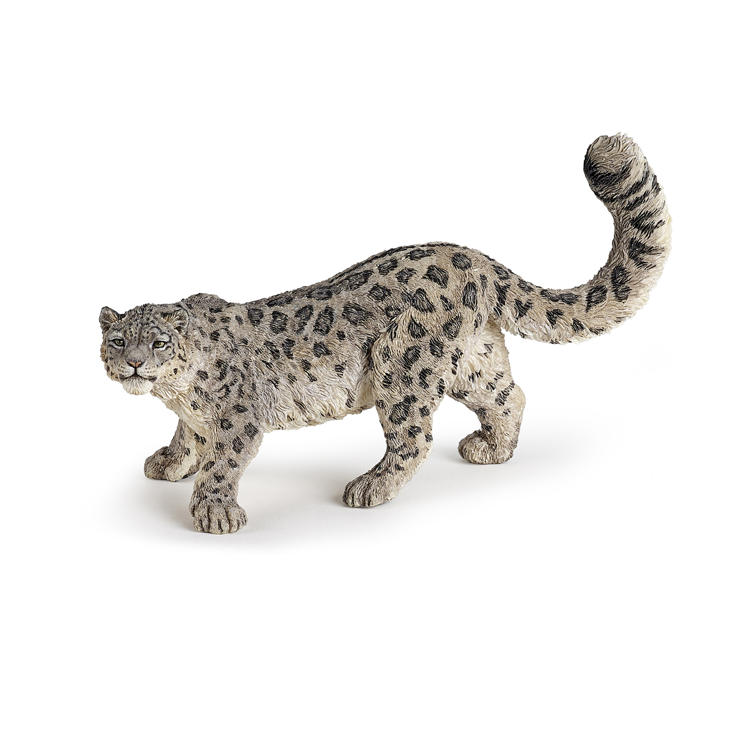 SNĚŽNÝ LEOPARD
