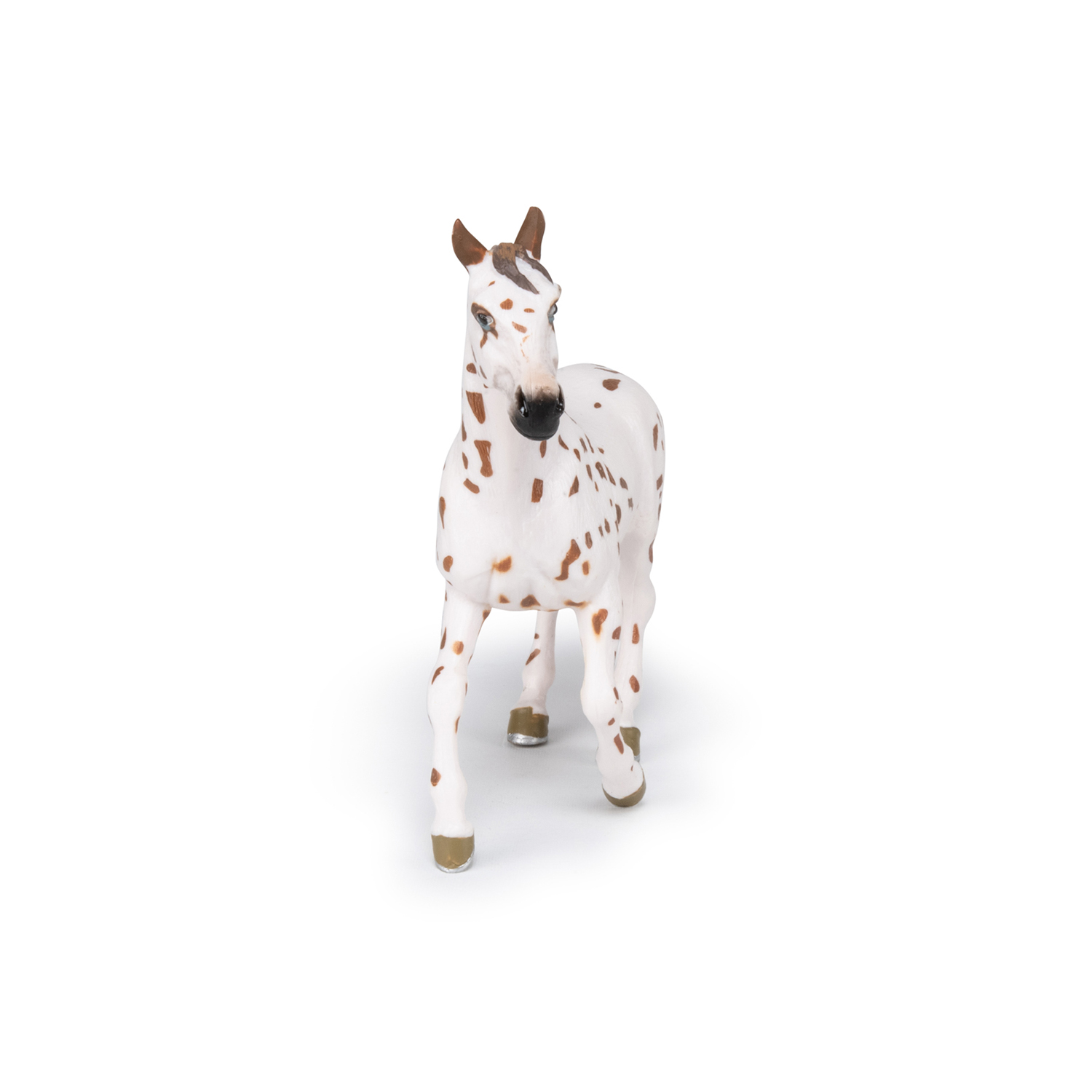 APALOOSA