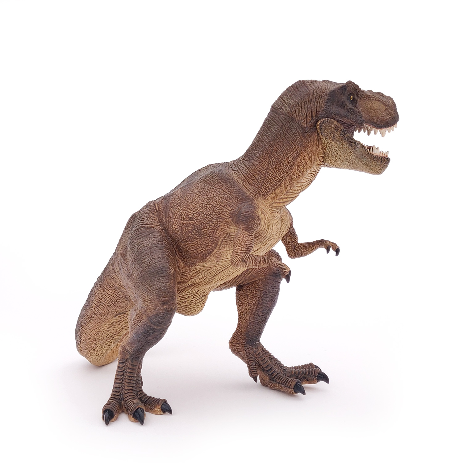 TYRANNOSAURUS