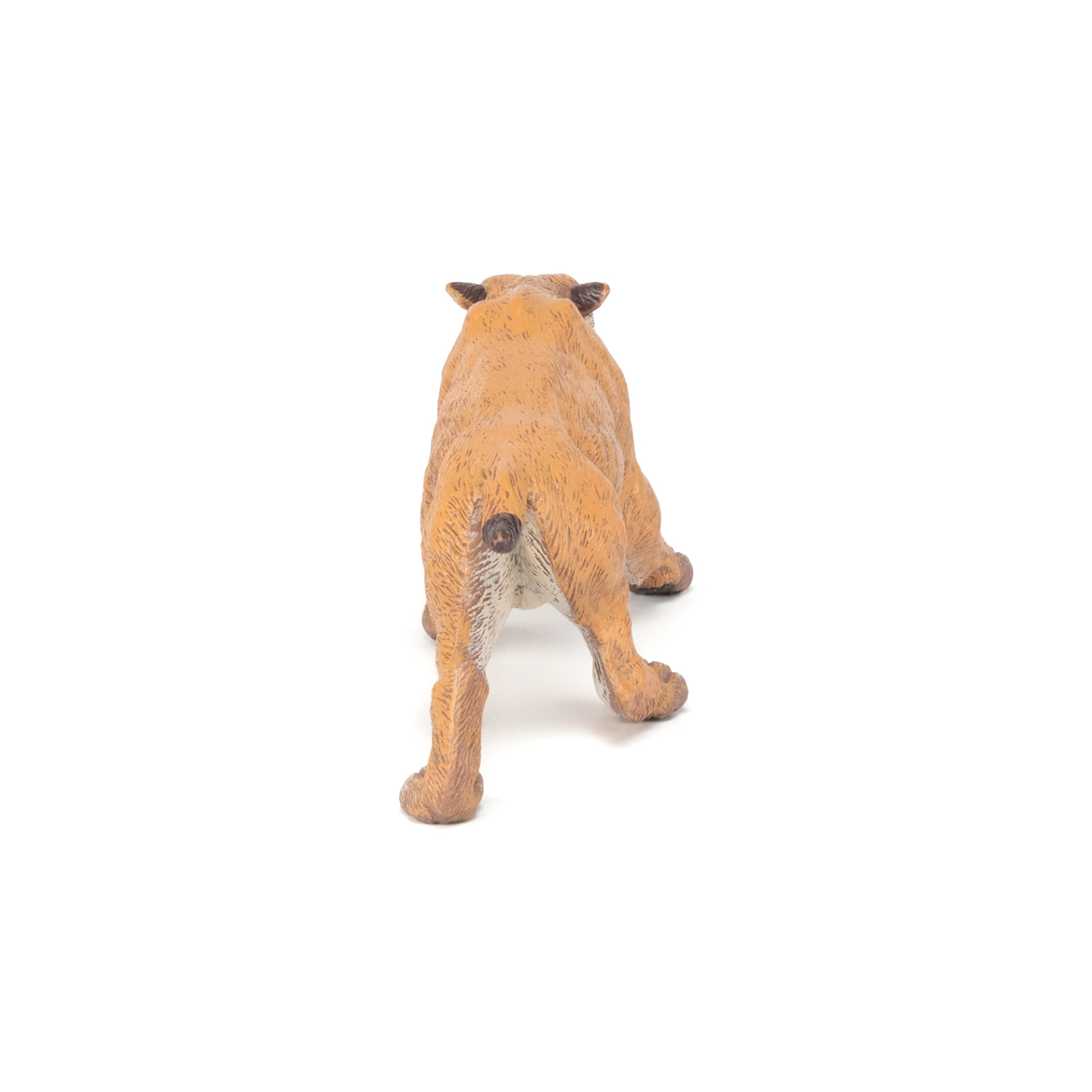 Šavlozubý tygr