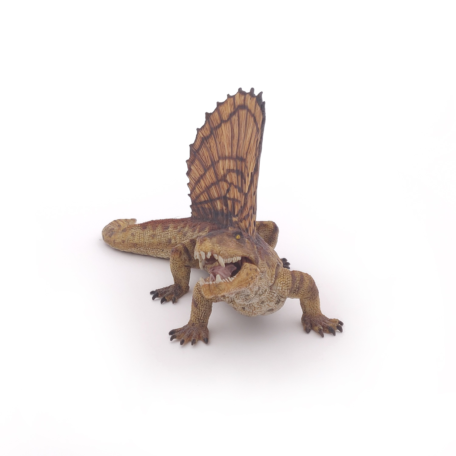 DIMETRODON
