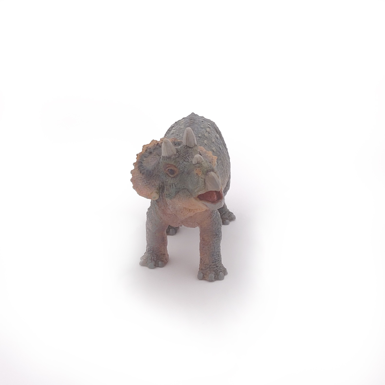 TRICERATOPS MLÁDĚ