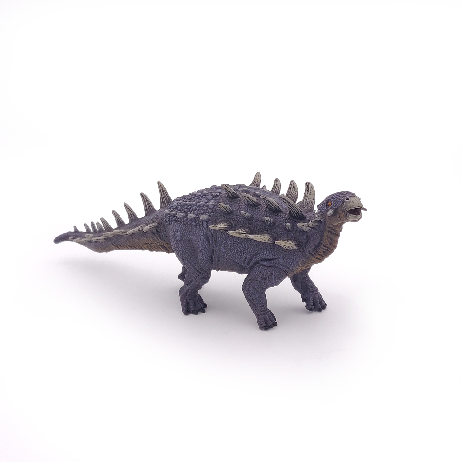 POLACANTHUS