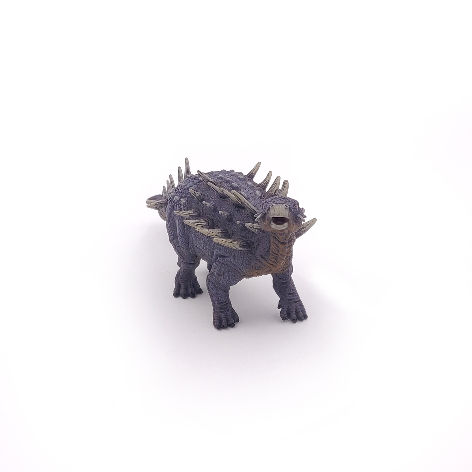 POLACANTHUS