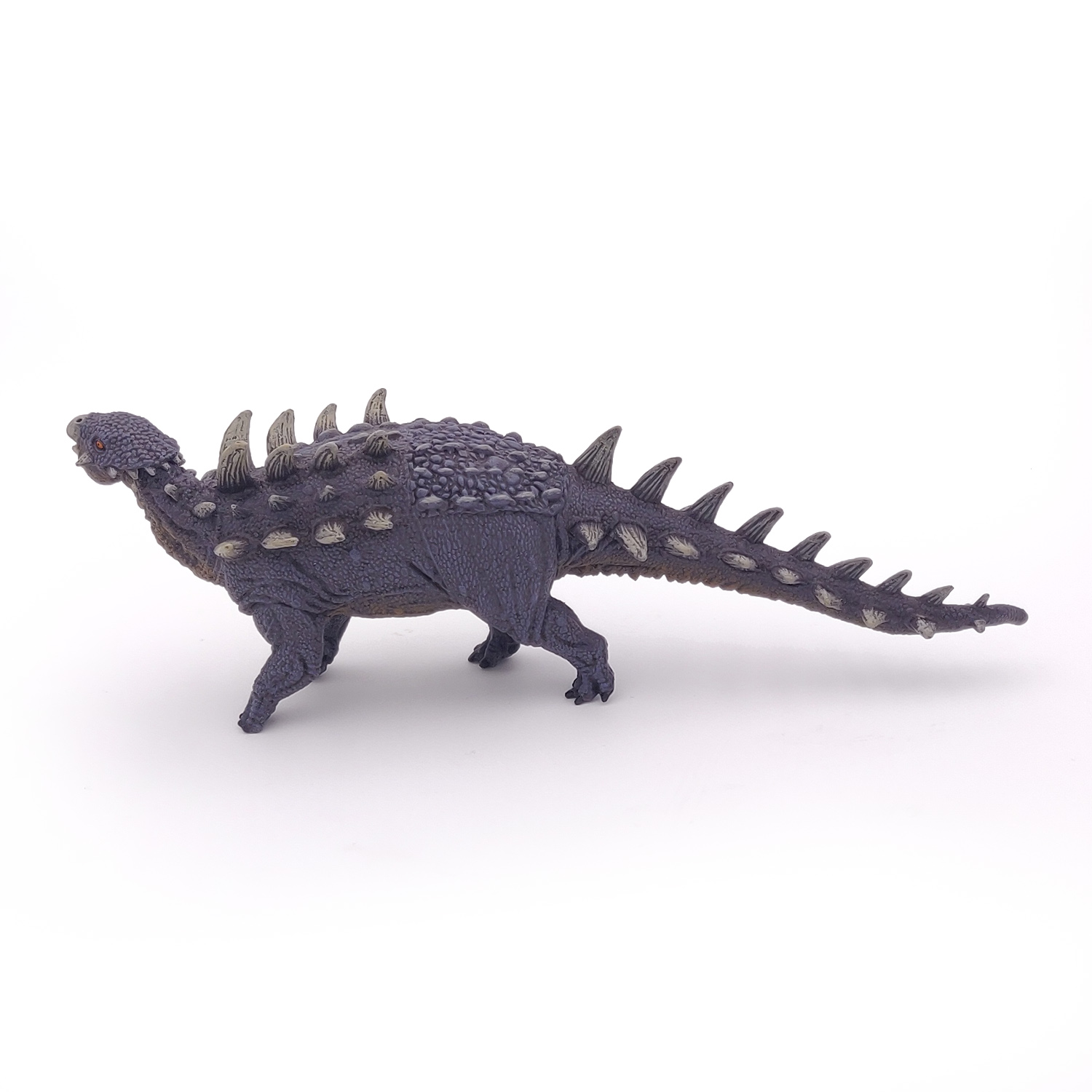 POLACANTHUS