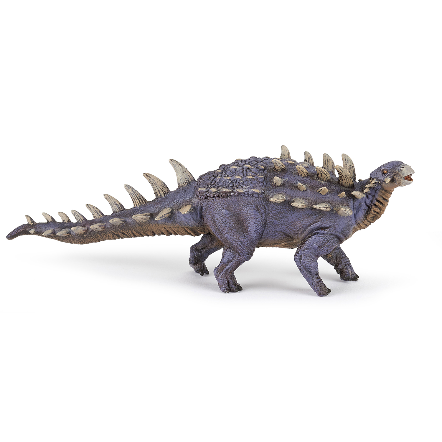 POLACANTHUS