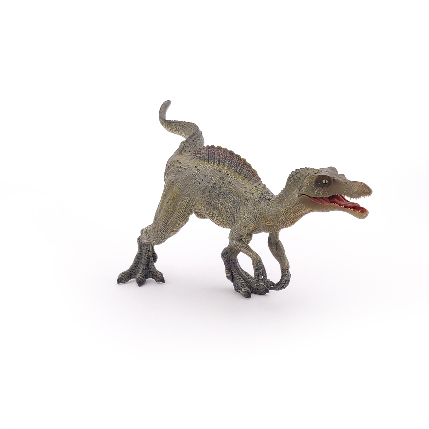 MLADÝ SPINOSAURUS