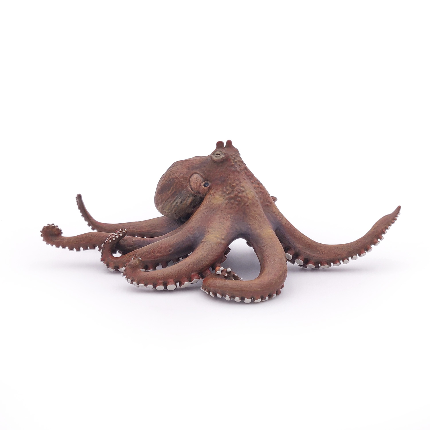 CHOBOTNICE