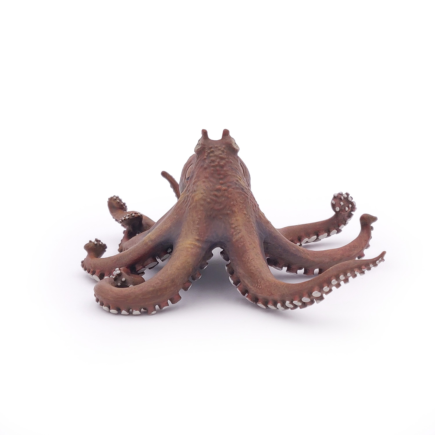 CHOBOTNICE