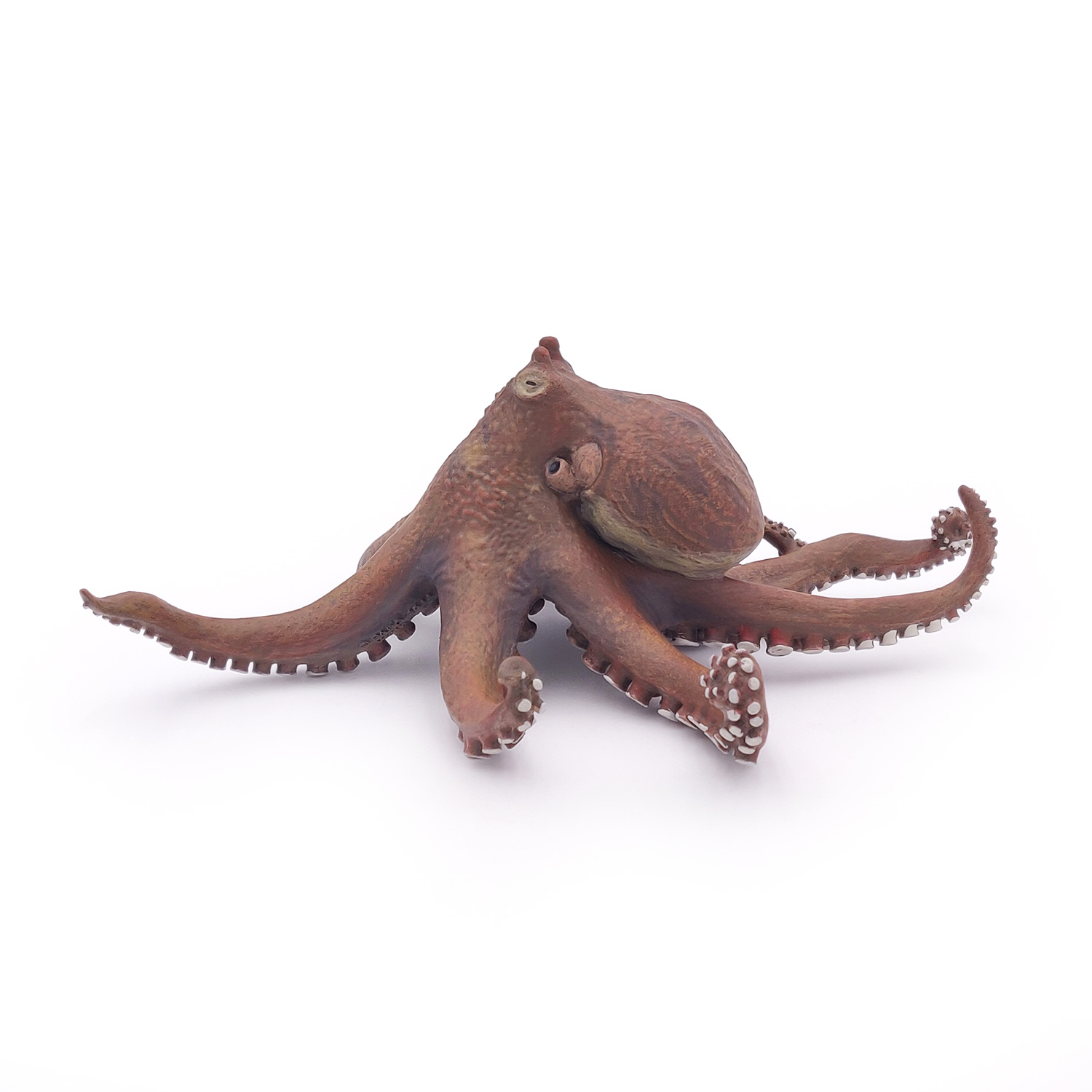 CHOBOTNICE