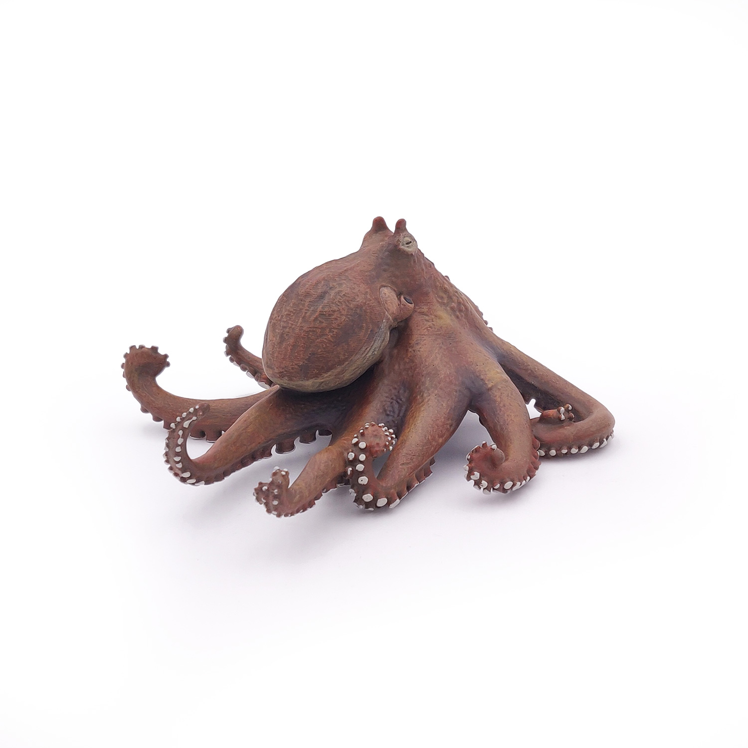 CHOBOTNICE