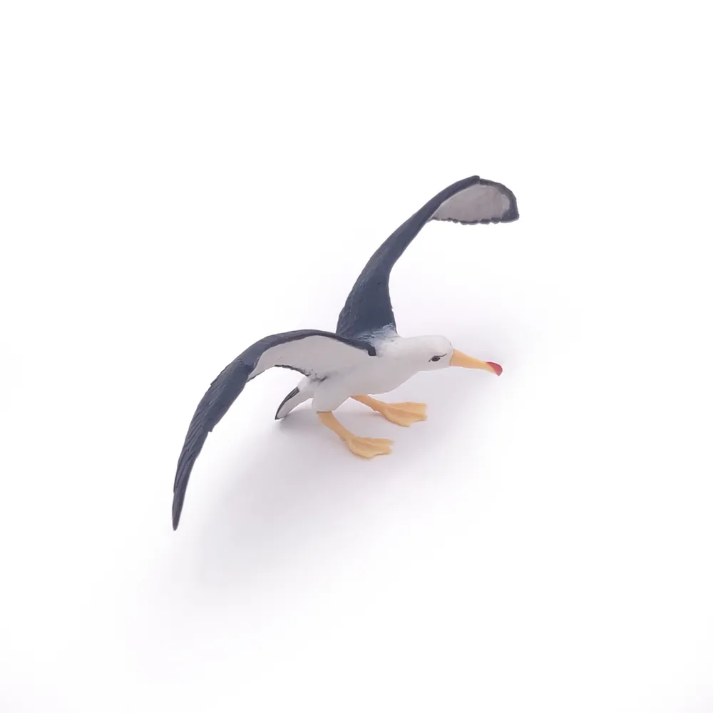 ALBATROS