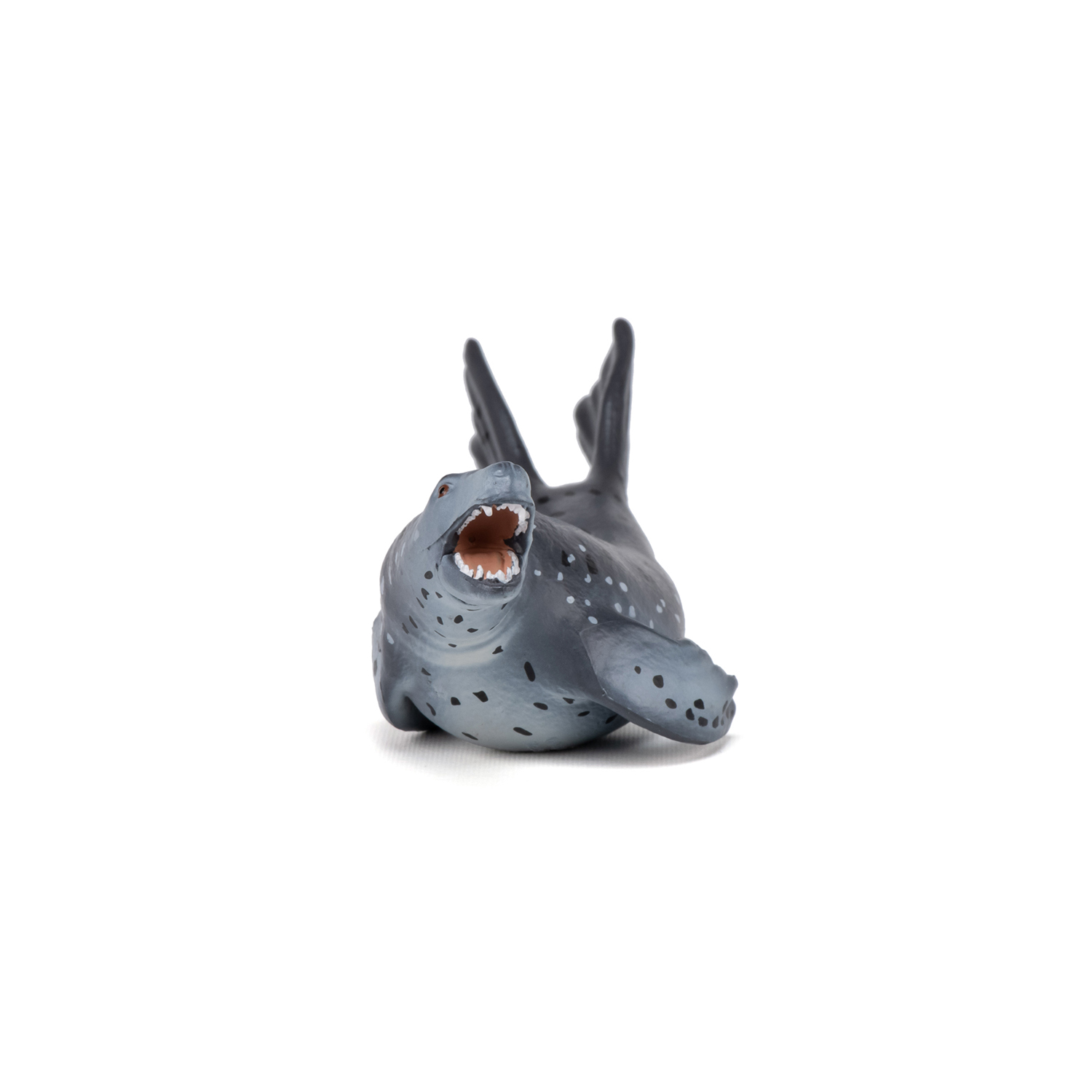 TULEŇ LEOPARDÍ