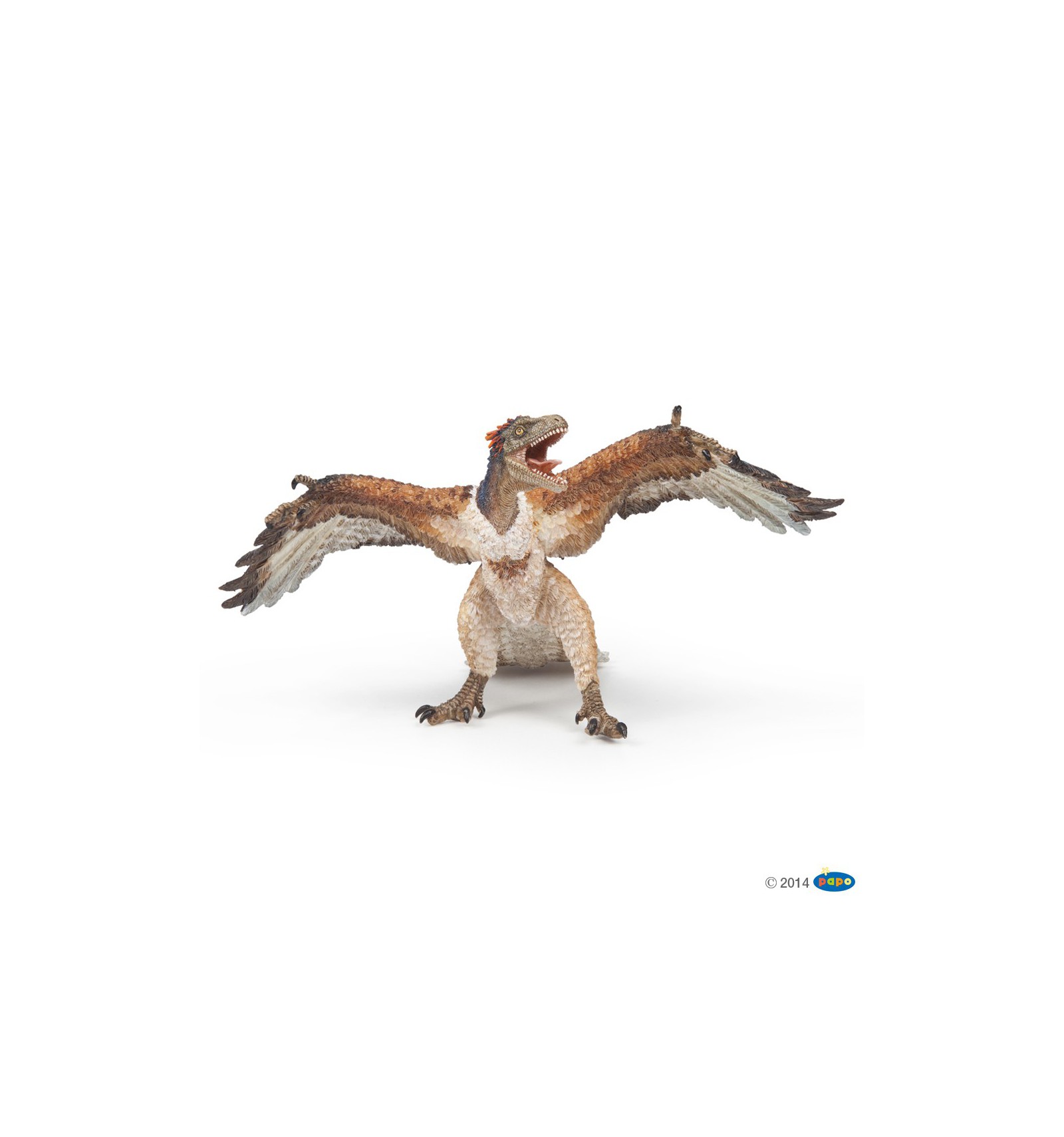 Archaeopteryx