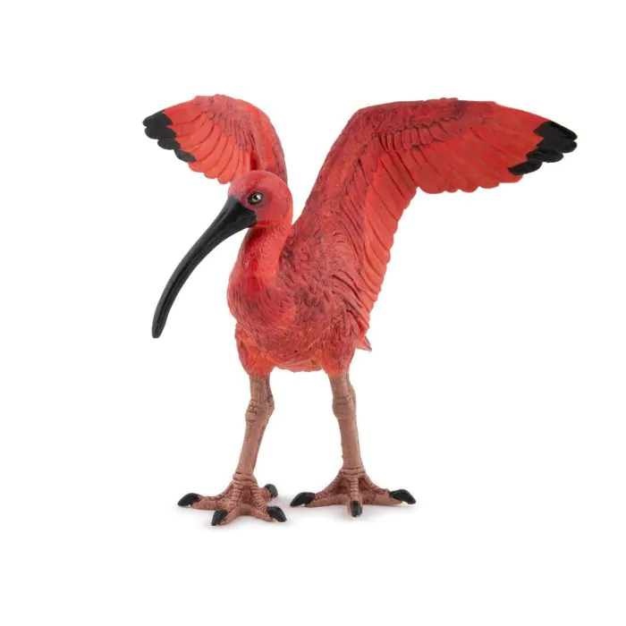 Ibis šarlatový