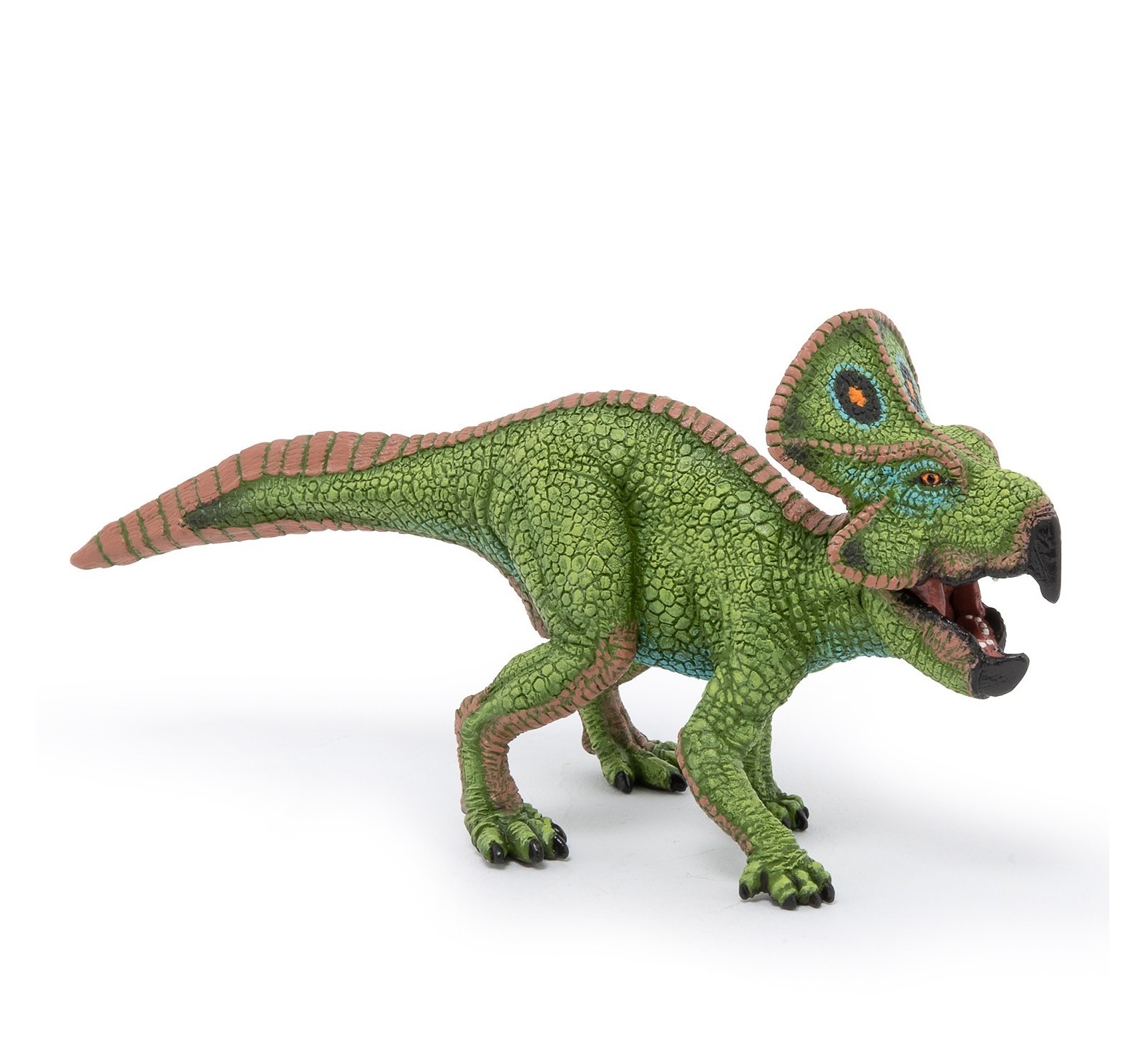 PROTOCERATOPS