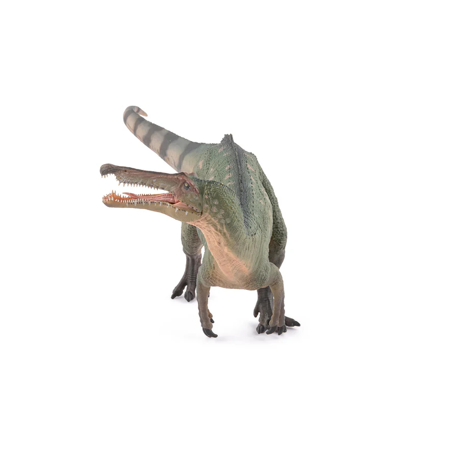 Suchominus