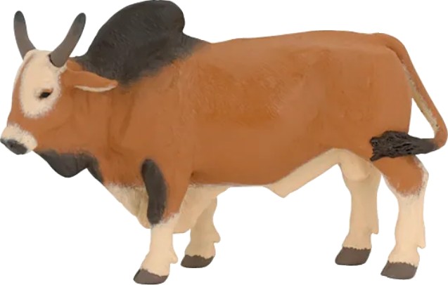 ZEBU