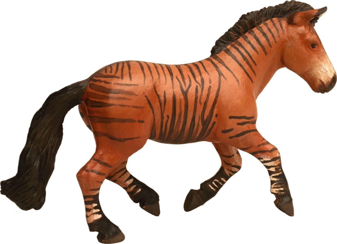 ZEBRINA