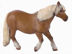 PONY SHETLANDSKÝ