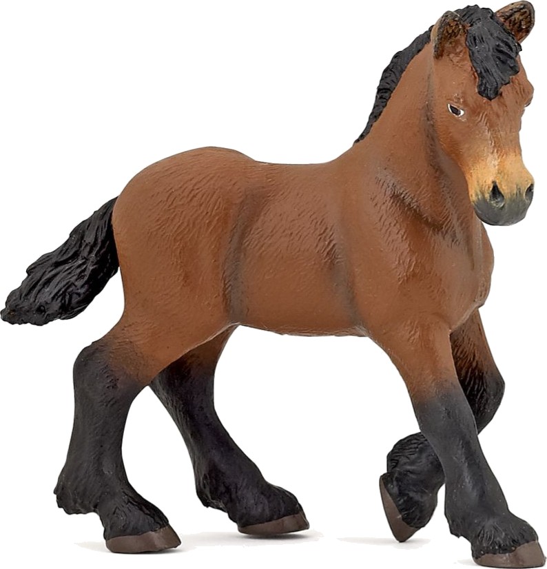 HŘÍBĚ ARDÉNSKÉHO TAŽNÉHO KONĚ