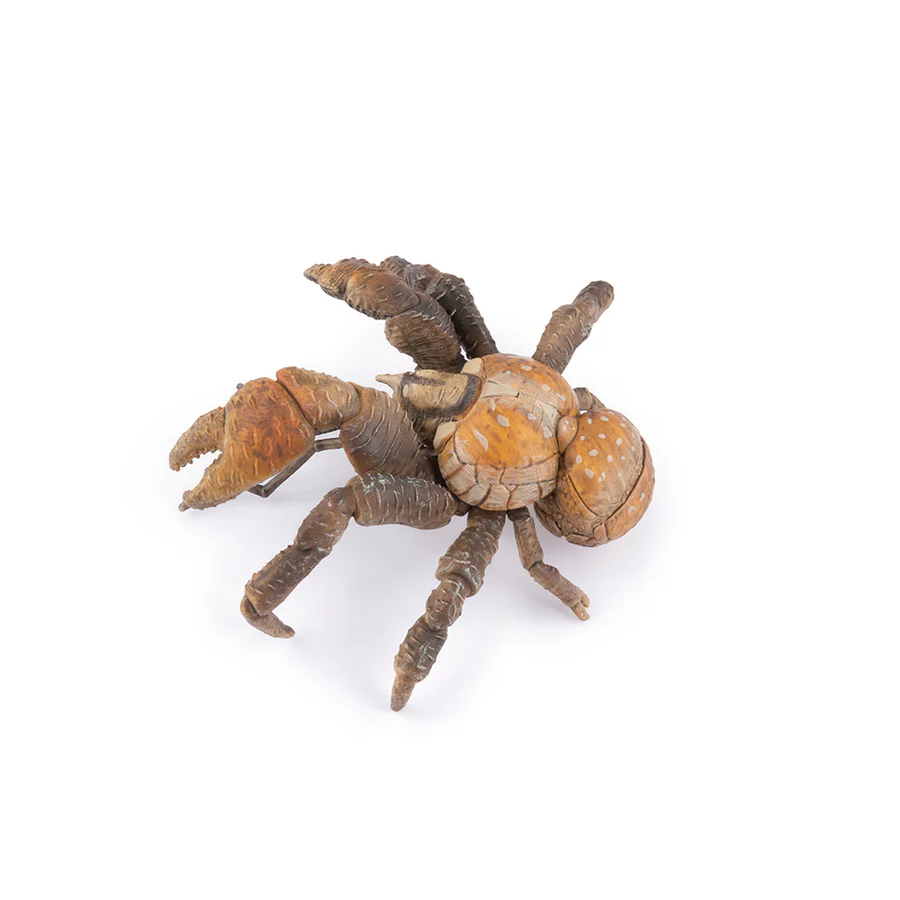 Krab palmový
