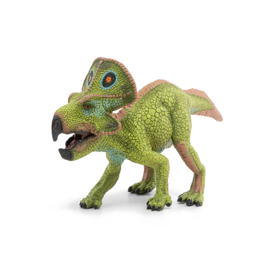 PROTOCERATOPS