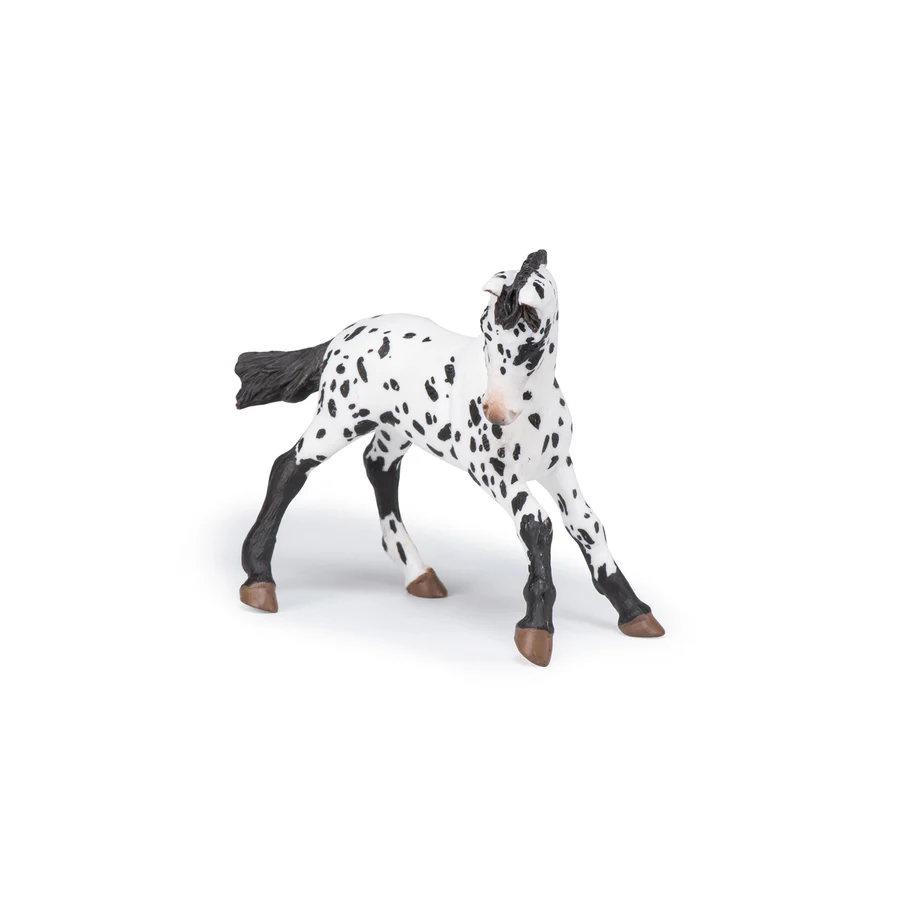 HŘÍBĚ APPALOOSA ČERNÉ