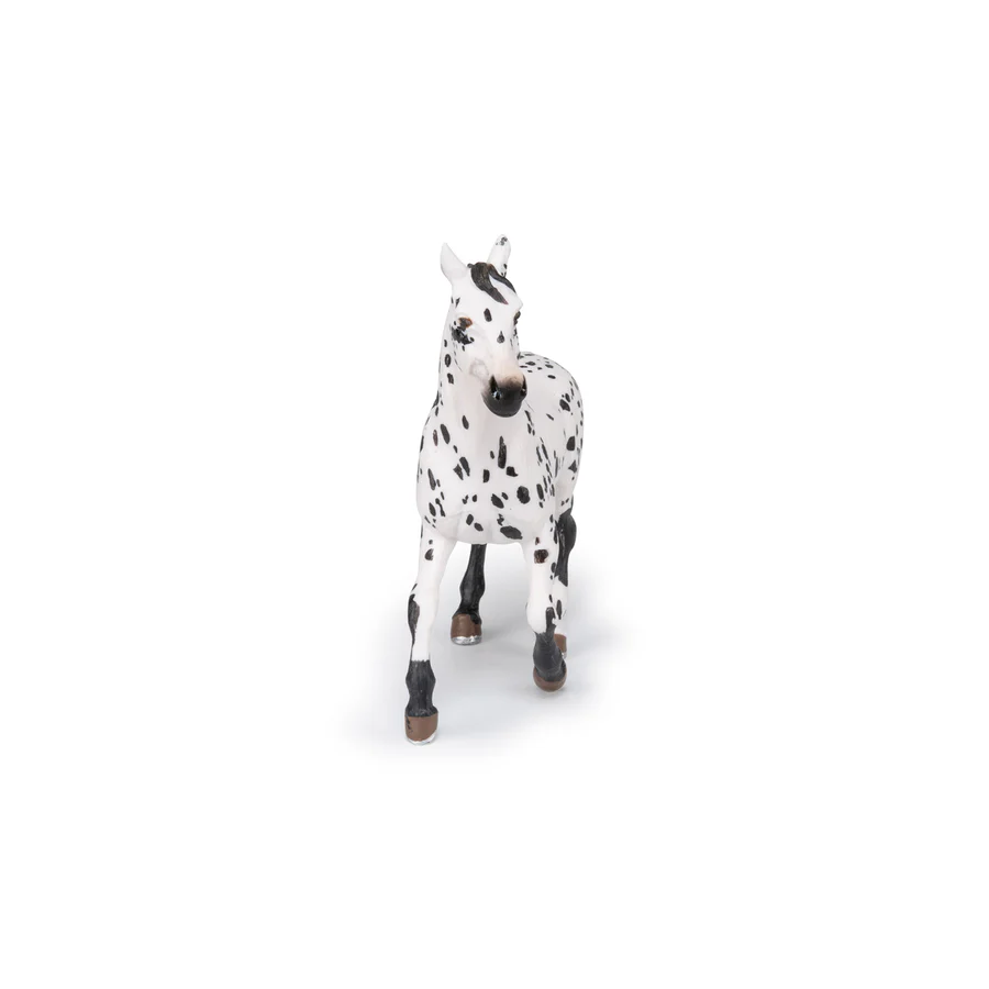 APPALOOSA ČERNÝ