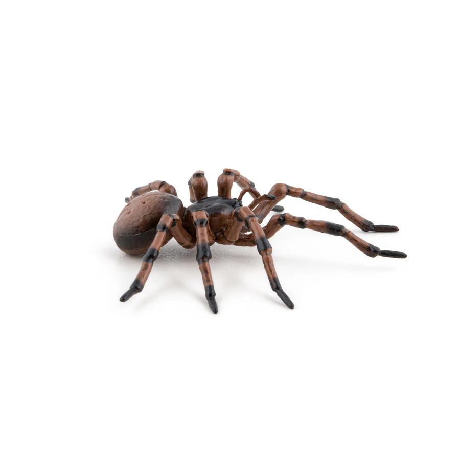 Pavouk