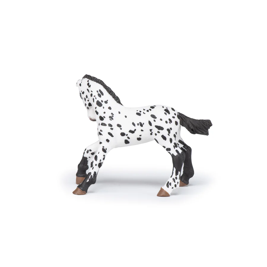 HŘÍBĚ APPALOOSA ČERNÉ