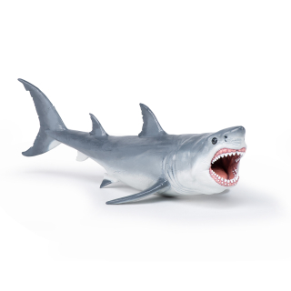 MEGALODON RYBA